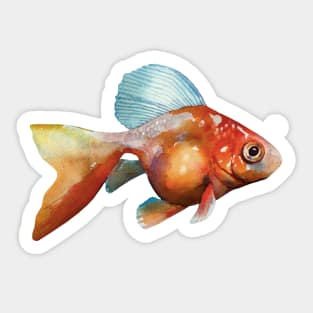Goldfish Swim Together Sticker